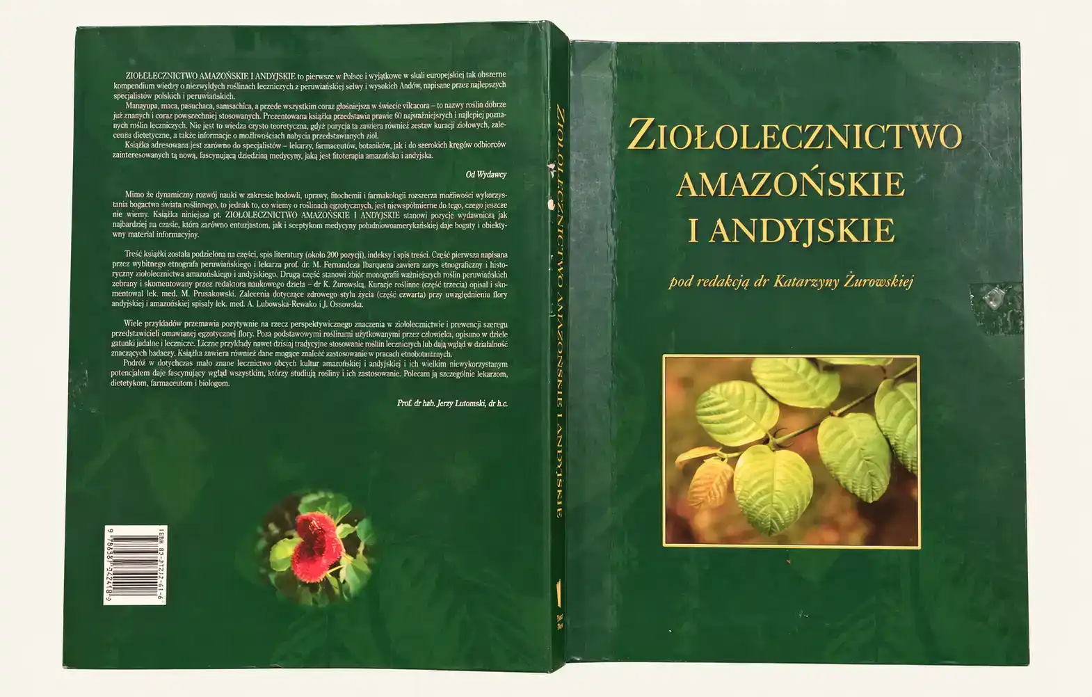 Rozłożona okładka książki „Ziołolecznictwo Amazońskie i Andyjskie” pod redakcją dr Katarzyny Żurowskiej, z opisem na tylnej stronie